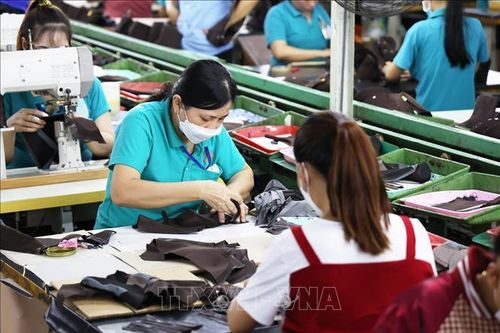 Thành phố Hồ Chí Minh: Còn nhiều tồn tại trong hoạt động cho thuê lại lao động