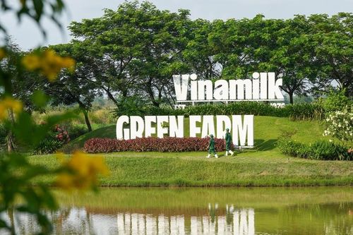 Vinamilk đóng góp gần 45% tổng cổ tức SCIC thu được trong năm 2025