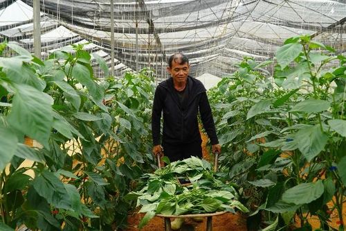 Tiếp sức cho nông dân
