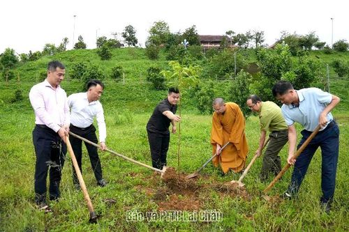 Trao tặng 405 cây xanh trong chương trình 'chùa xanh' tại chùa Linh Sơn