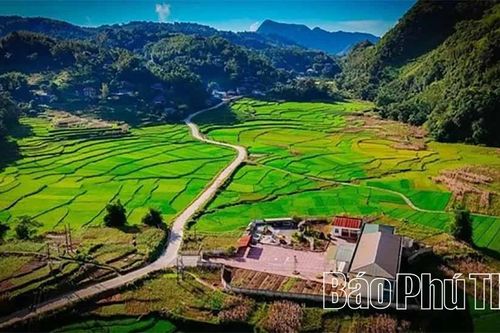 Khi chuyển đổi số là công cụ giải bài toán sinh kế
