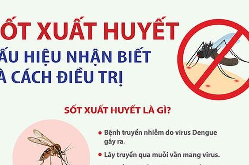 Sốt xuất huyết: Dấu hiệu nhận biết và cách điều trị
