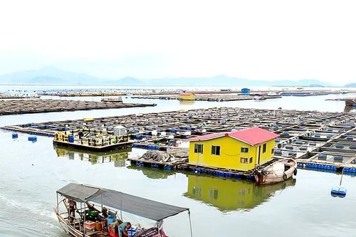Khẩn cấp ứng phó bão Bavi