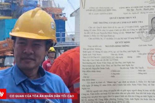 Bắt giữ tượng bị truy nã đang lẩn trốn trong cảng