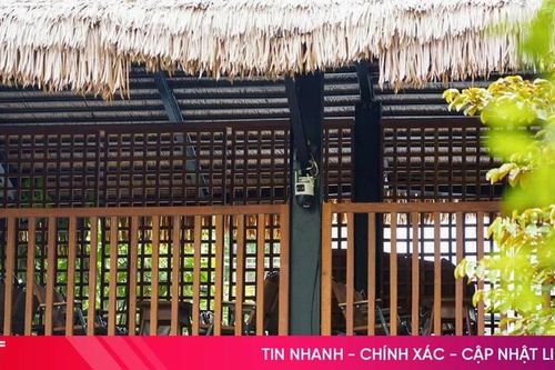Camera giám sát: Khi 'mắt thần' cũng cần được bảo vệ