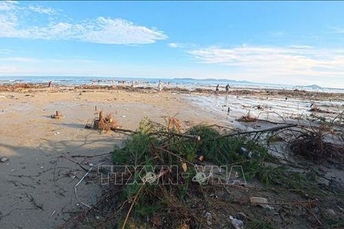 Một tuần sau bão số 1, bãi biển Trà Cổ vẫn ngập rác