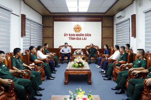 Phó Chủ tịch UBND tỉnh Lâm Hải Giang tiếp đoàn cán bộ Sư đoàn 3