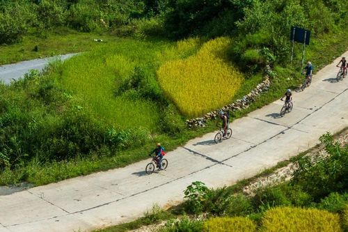 Giải đua xe đạp địa hình 'Vút bay trên sóng lúa vàng' sắp khởi tranh tại Mường Bo