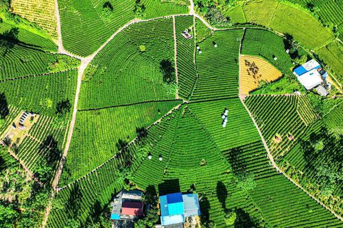 Từ giá trị bản địa đến kinh tế số