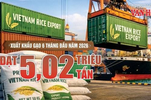 Xuất khẩu gạo Việt Nam 6 tháng đầu năm 2026 đạt 5,02 triệu tấn, thu về 2,38 tỉ USD