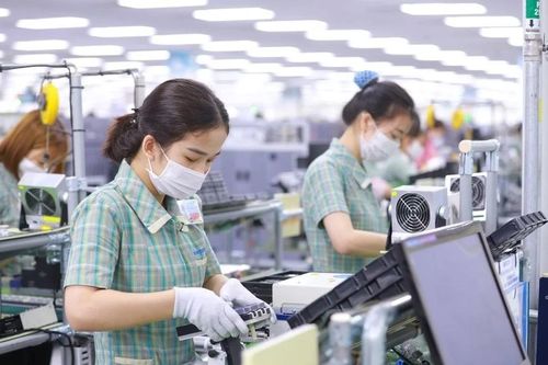 Nhập siêu tăng mạnh, vì sao thu ngân sách tăng 41.500 tỷ đồng?