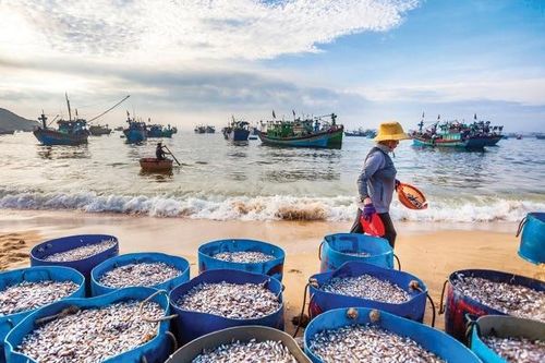 Người giữ 'giọt nồng' làng biển