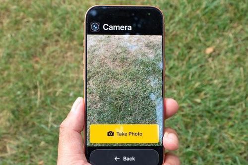 Biến iPhone thành điện thoại 'cục gạch' chỉ với một cài đặt