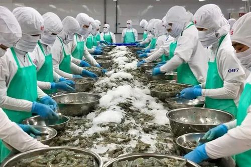 'Ông lớn' ngành tôm một thời ghi nhận doanh thu chưa tới 200 triệu đồng