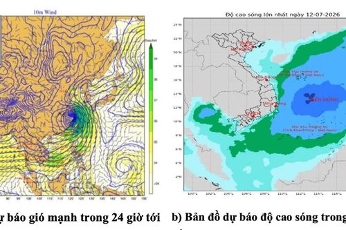 Vùng biển Gia Lai có khả năng xảy ra lốc xoáy, sóng cao 2-3 m