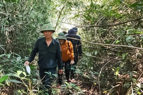 Giữ 'lá phổi xanh' phía Nam Lâm Đồng