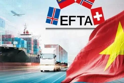 Xuất khẩu thủy sản thêm thị trường tiềm năng, giúp giảm phụ thuộc vào thị trường Mỹ