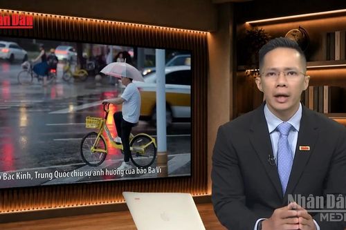[Video] Tiêu điểm 13/7: Các nước có thể học được gì từ cách Trung Quốc chống bão Ba Vì?