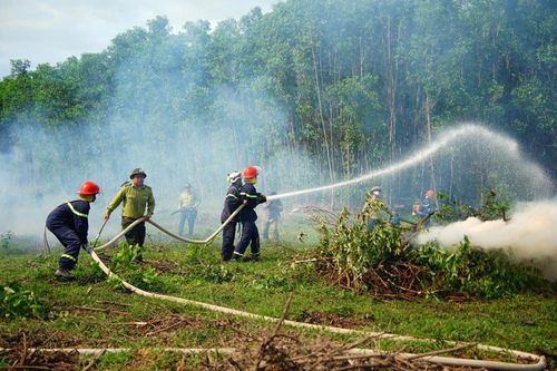 Tăng cường công tác phòng cháy , chữa cháy rừng
