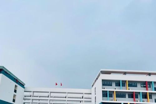 Xử lý nghiêm sai phạm, bảo vệ thí sinh học thật, thi thật