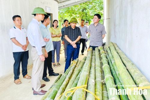 Kiểm tra công tác phòng, chống thiên tai tại 5 xã