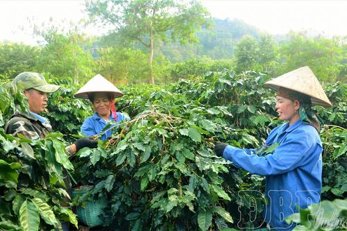 Xây dựng nông thôn mới bền vững