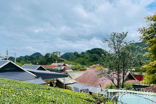 Ước mơ ở lưng chừng núi