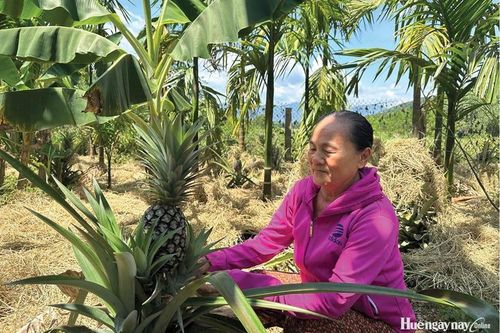 'Có sức người, sỏi đá cũng thành cơm...'