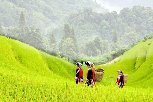 Thu nhập bình quân của người Việt đạt 6 triệu đồng/tháng