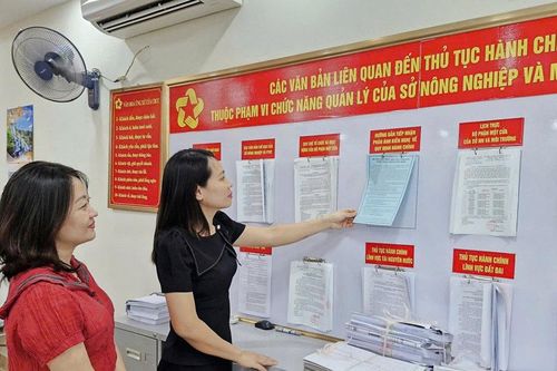 Hà Nội mở cao điểm 45 ngày hoàn thiện cơ sở dữ liệu hơn 4,15 triệu thửa đất