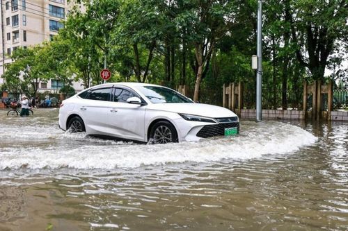 Bão Ba Vì gây mưa lớn, Trung Quốc sơ tán hơn 171.000 người
