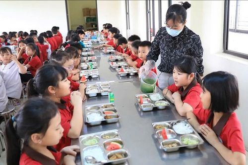 Hà Nội đề xuất tăng mức hỗ trợ bữa ăn bán trú