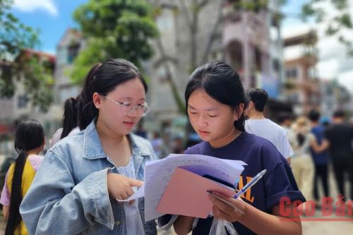 Toàn tỉnh có 1.843 bài thi tuyển sinh lớp 10 đạt từ 8 điểm trở lên