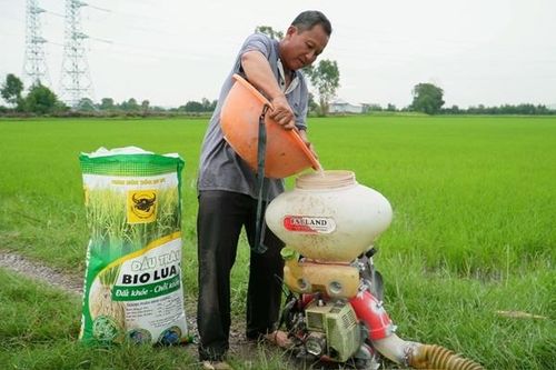 Khi đất được 'hồi sinh' thì cây lúa tự khắc khỏe mạnh