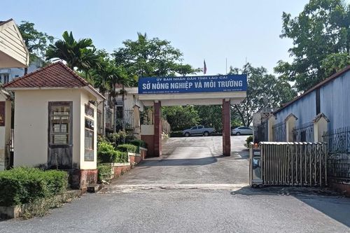 Cán bộ Sở Nông nghiệp và Môi trường Lào Cai được phát hiện tử vong trong tư thế treo cổ tại cơ quan