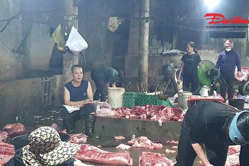 UBND tỉnh Hà Tĩnh chỉ đạo xử lý vụ 'lao động giết mổ nửa năm không có lương'