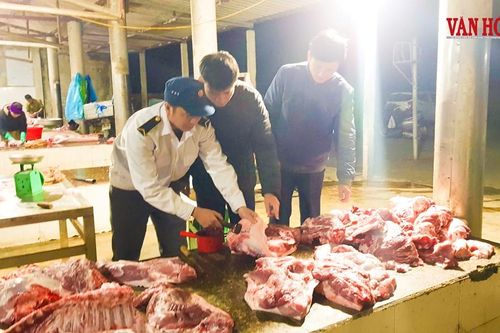 Hồi âm: 37 lao động 6 tháng không lương: Chủ tịch tỉnh Hà Tĩnh yêu cầu báo cáo