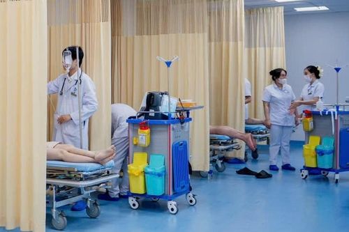 Kịp thời xử trí 8 trường hợp bị ong vò vẽ đốt