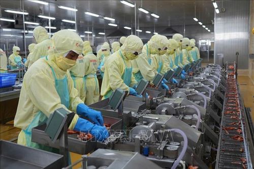 Gia hạn nộp thuế và tiền thuê đất năm 2026 theo Nghị định 245 có gì mới?
