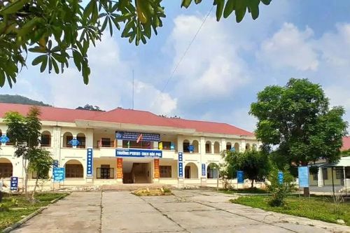 Dự án 'Young Shoots of Vietnam': Trao một cuốn sách, gieo một tương lai