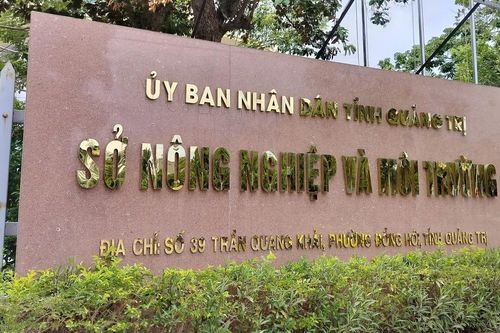 Đề xuất xây Nhà máy Xi măng ở Quảng Trị quy mô nghìn tỷ: Sự thận trọng cần thiết