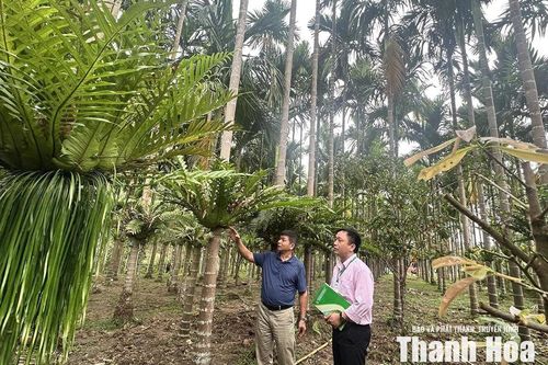 Điểm tựa cho hành trình giảm nghèo bền vững