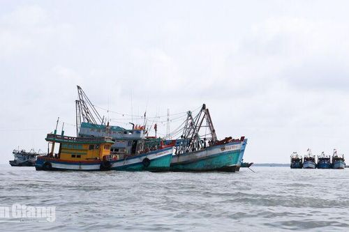 An Giang ứng phó mưa lớn, gió mạnh trên biển