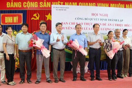 Định Mỹ thành lập Ban Chỉ đạo phát triển vùng lúa chất lượng cao, phát thải thấp