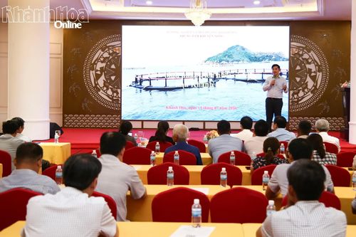 Tìm giải pháp nâng cao hiệu quả nuôi cá biển