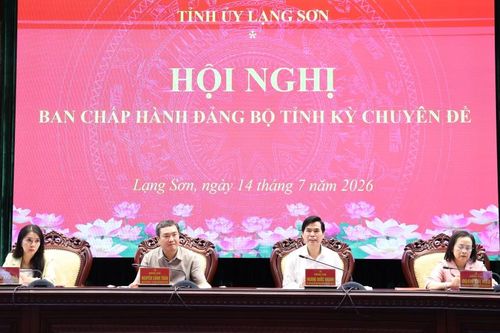 Ban Chấp hành Đảng bộ tỉnh tổ chức hội nghị chuyên đề về công tác cán bộ