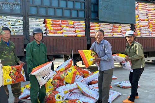 Phân bón đồng loạt giảm giá, tạo điều kiện cho nông dân thâm canh