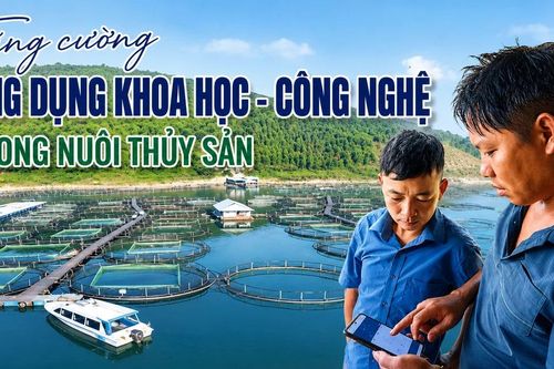 Tăng cường ứng dụng khoa học - công nghệ trong nuôi thủy sản