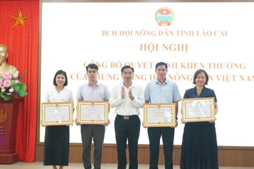 Hội Nông dân tỉnh triển khai nhiệm vụ những tháng cuối năm