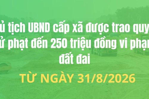 Chủ tịch UBND cấp xã được trao quyền xử phạt đến 250 triệu đồng vi phạm đất đai từ ngày 31/8/2026